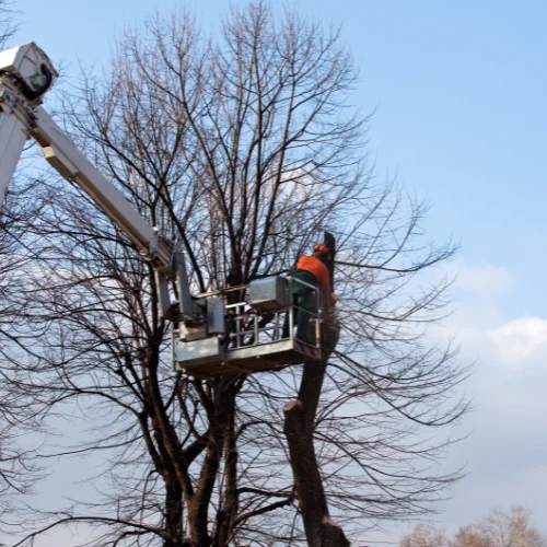 Travaux-en-hauteur